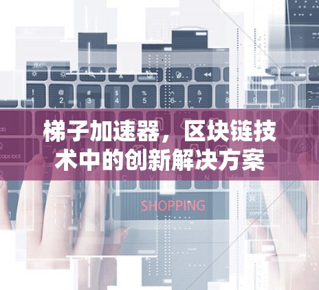 梯子加速器,区块链技术中的创新解决方案 梯子加速器,区块链技术中的创新解决方案
