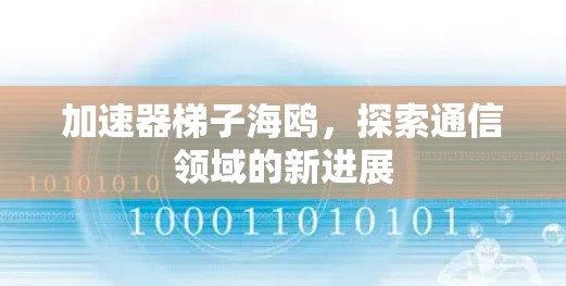 加速器梯子海鸥，探索通信领域的新进展