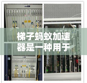 梯子蚂蚁加速器是一种用于加速设备或数据传输的工具，可能结合了在网络攻击或数据安全中被使用的特点。以下是关于梯子蚂蚁加速器的详细信息