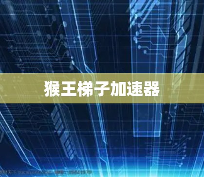 猴王梯子加速器 猴王梯子加速器