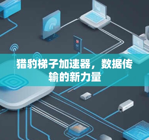 猎豹梯子加速器，数据传输的新力量