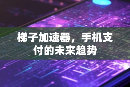 梯子加速器,手机支付的未来趋势
