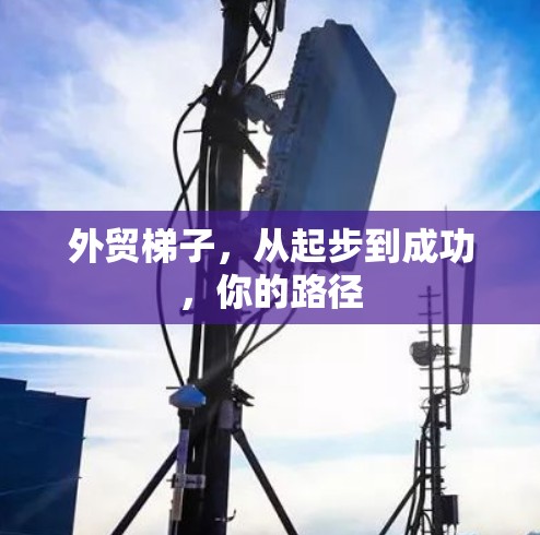 外贸梯子,从起步到成功,你的路径 外贸梯子,从起步到成功,你的路径