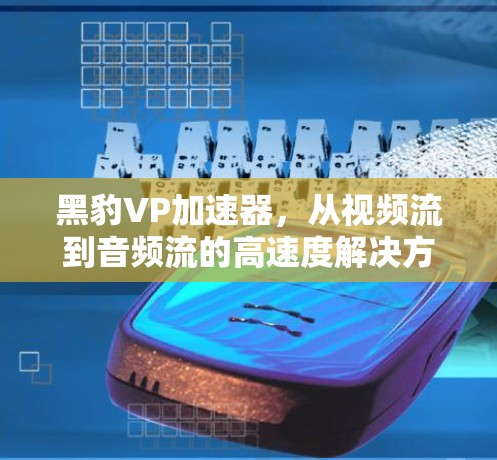 黑豹VP加速器，从视频流到音频流的高速度解决方案