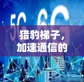 猎豹梯子，加速通信的科技加速器，你值得了解！