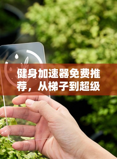 健身加速器免费推荐，从梯子到超级版