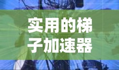 实用的梯子加速器推荐包括以下几个工具，这些工具可以帮助用户快速检测、记录和维护梯子，节省时间和成本