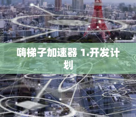 嗨梯子加速器 1.开发计划