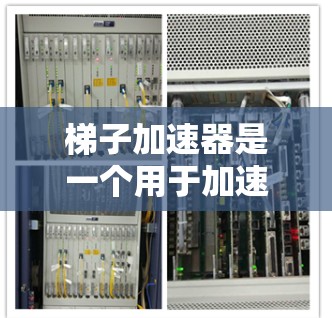 梯子加速器是一个用于加速机器学习模型推理的工具，其资源包括以下几个关键组件