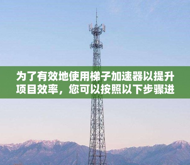 为了有效地使用梯子加速器以提升项目效率，您可以按照以下步骤进行操作