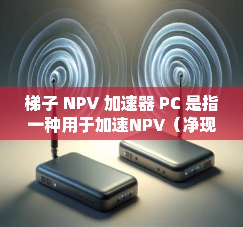梯子 NPV 加速器 PC 是指一种用于加速NPV（净现值）计算的技术或工具，尤其适用于使用PC设备（如Excel、Python等）进行财务分析。以下是几种可能的解释和解决方案