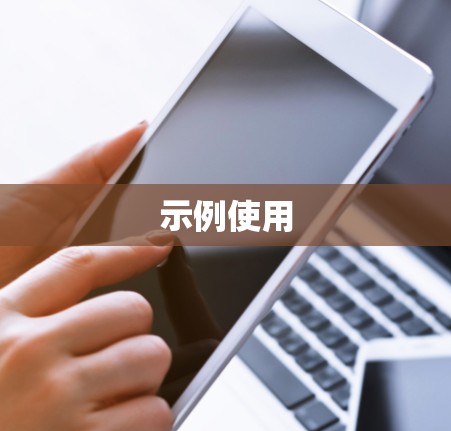 示例使用