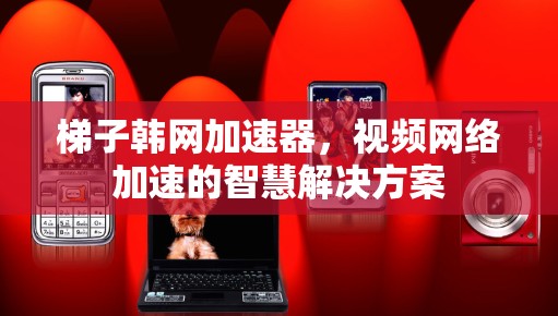 梯子韩网加速器,视频网络加速的智慧解决方案 梯子韩网加速器,视频网络加速的智慧解决方案