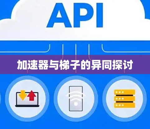加速器与梯子的异同探讨
