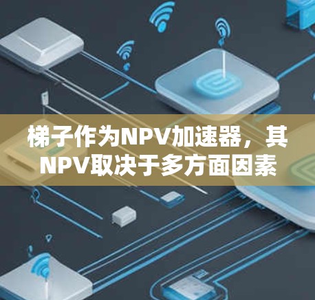 梯子作为NPV加速器，其NPV取决于多方面因素的综合考量。以下是详细的分析