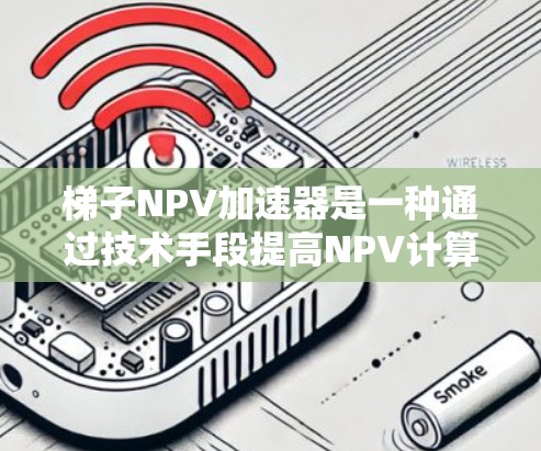 梯子NPV加速器是一种通过技术手段提高NPV计算效率的方法，具体包括以下内容