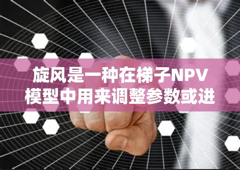 旋风是一种在梯子NPV模型中用来调整参数或进行敏感性分析的工具。它帮助决策者快速评估不同假设下的NPV结果，识别关键变量对项目的影响程度。以下是对旋风的详细分析