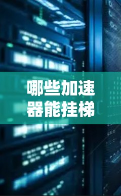 哪些加速器能挂梯子? 哪些加速器能挂梯子?