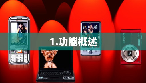 1.功能概述 1.功能概述