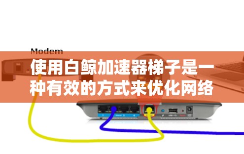 使用白鲸加速器梯子是一种有效的方式来优化网络带宽，以下是详细的步骤说明