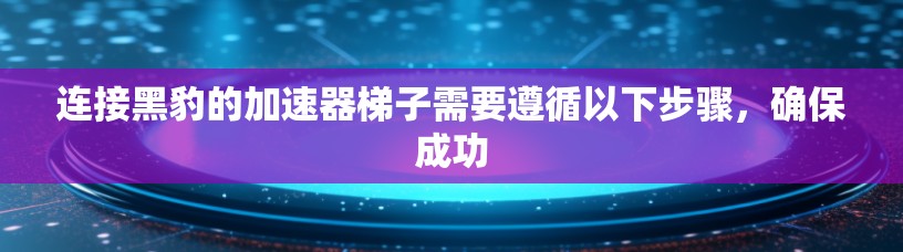 连接黑豹的加速器梯子需要遵循以下步骤，确保成功