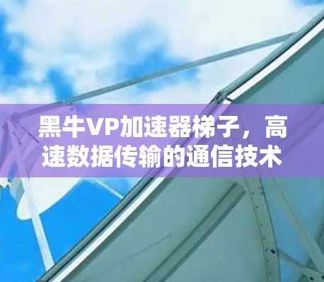 黑牛VP加速器梯子，高速数据传输的通信技术解决方案