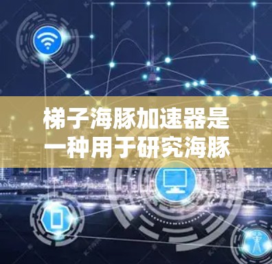 梯子海豚加速器是一种用于研究海豚的工具,通常由梯子和加速器组成。以下是使用梯子海豚加速器的步骤和注意事项 梯子海豚加速器是一种用于研究海豚的工具,通常由梯子和加速器组成。以下是使用梯子海豚加速器的步骤和注意事项