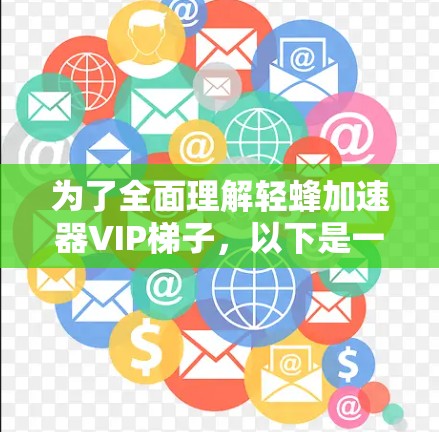 为了全面理解轻蜂加速器VIP梯子，以下是一步步的总结和分析
