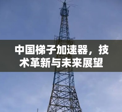 中国梯子加速器，技术革新与未来展望