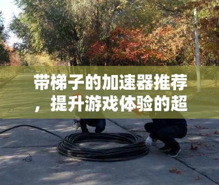 带梯子的加速器推荐，提升游戏体验的超强道具