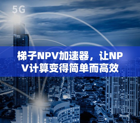 梯子NPV加速器,让NPV计算变得简单而高效 梯子NPV加速器,让NPV计算变得简单而高效