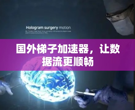 国外梯子加速器,让数据流更顺畅 国外梯子加速器,让数据流更顺畅