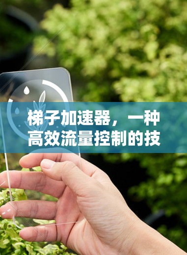 梯子加速器,一种高效流量控制的技术 梯子加速器,一种高效流量控制的技术