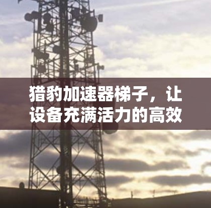 猎豹加速器梯子，让设备充满活力的高效配置方法