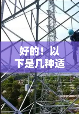 好的！以下是几种适合提升计算机性能的PC梯子加速器推荐