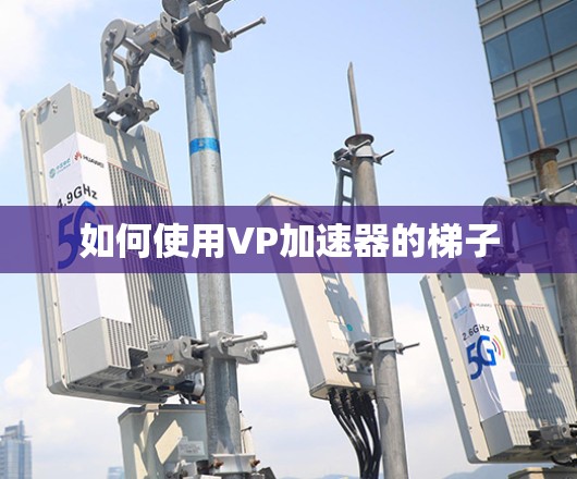 如何使用VP加速器的梯子