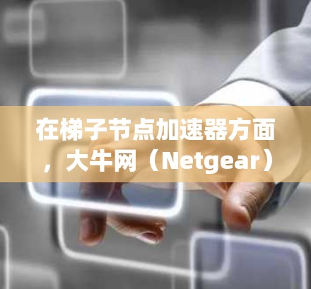 在梯子节点加速器方面，大牛网（Netgear）和HPE（Hyperion）都是知名的网络设备制造商，但在加速器技术上各有特点。以下是它们的比较和综合评价