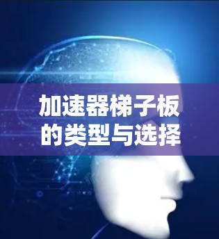 加速器梯子板的类型与选择指南