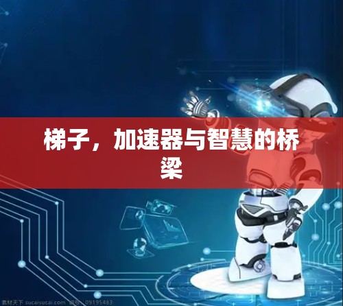 梯子，加速器与智慧的桥梁