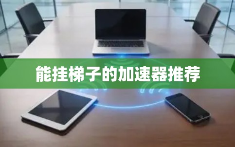 能挂梯子的加速器推荐