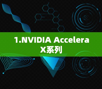 1.NVIDIA AcceleraX系列 1.NVIDIA AcceleraX系列