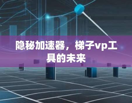 隐秘加速器，梯子vp工具的未来