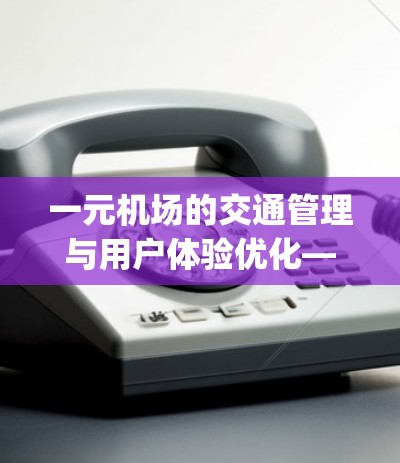 一元机场的交通管理与用户体验优化—Case Study of One Terminal Airport 一元机场的交通管理与用户体验优化—Case Study of One Terminal Airport