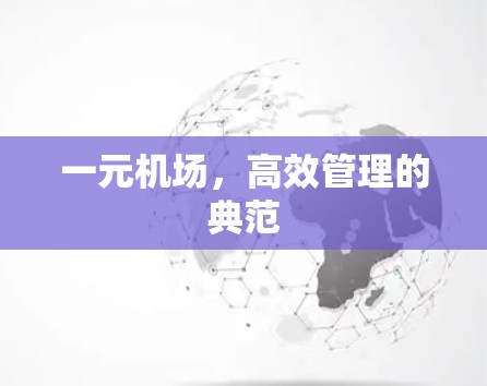 一元机场，高效管理的典范