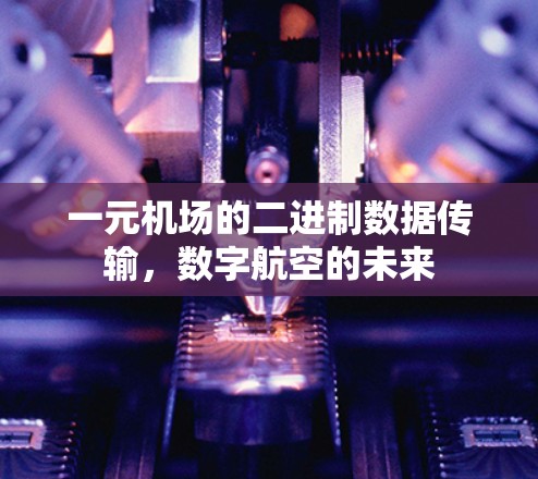 一元机场的二进制数据传输,数字航空的未来 一元机场的二进制数据传输,数字航空的未来