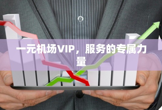一元机场VIP，服务的专属力量