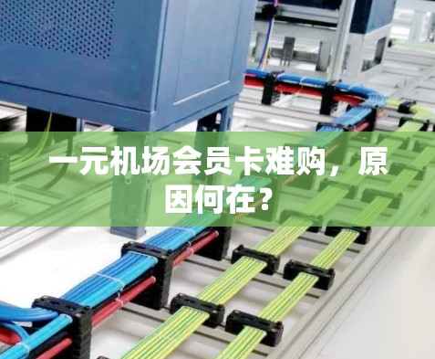 一元机场会员卡难购,原因何在? 一元机场会员卡难购,原因何在?