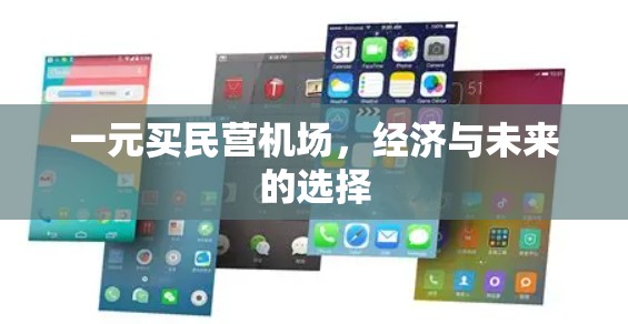 一元买民营机场,经济与未来的选择 一元买民营机场,经济与未来的选择