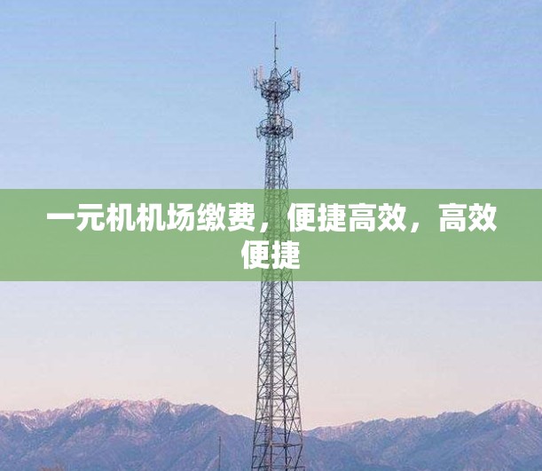 一元机机场缴费,便捷高效,高效便捷 一元机机场缴费,便捷高效,高效便捷