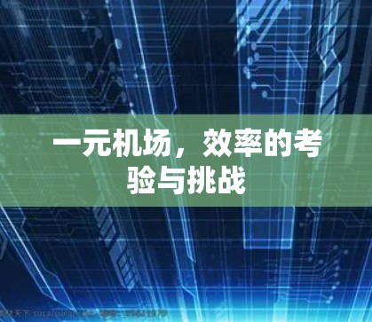 一元机场,效率的考验与挑战 一元机场,效率的考验与挑战